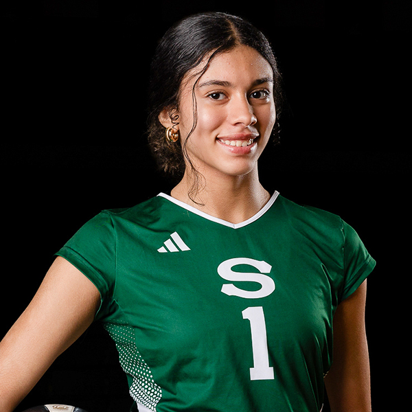 SHS_VB SHS_VB